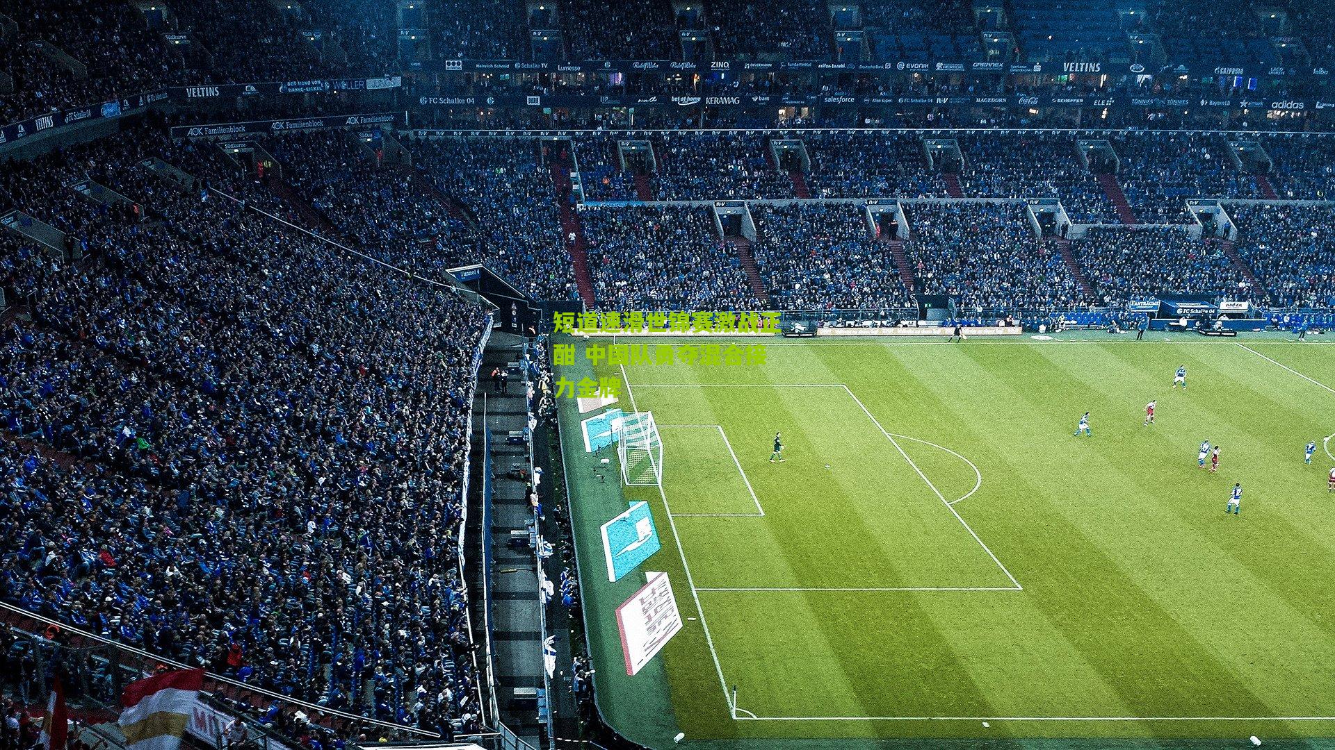 短道速滑世锦赛激战正酣 中国队勇夺混合接力金牌